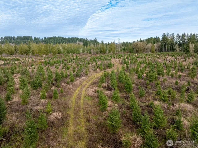 a view of a green field with an outdoor space