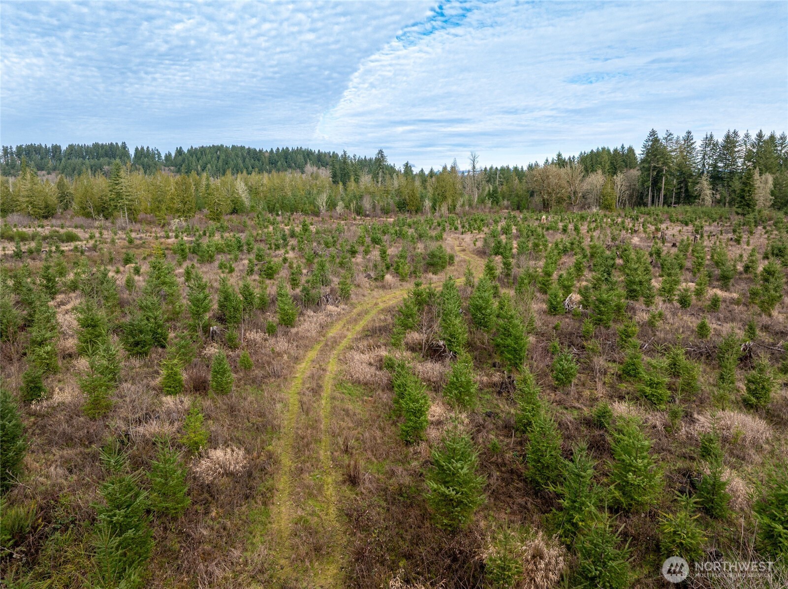 a view of a green field with an outdoor space
