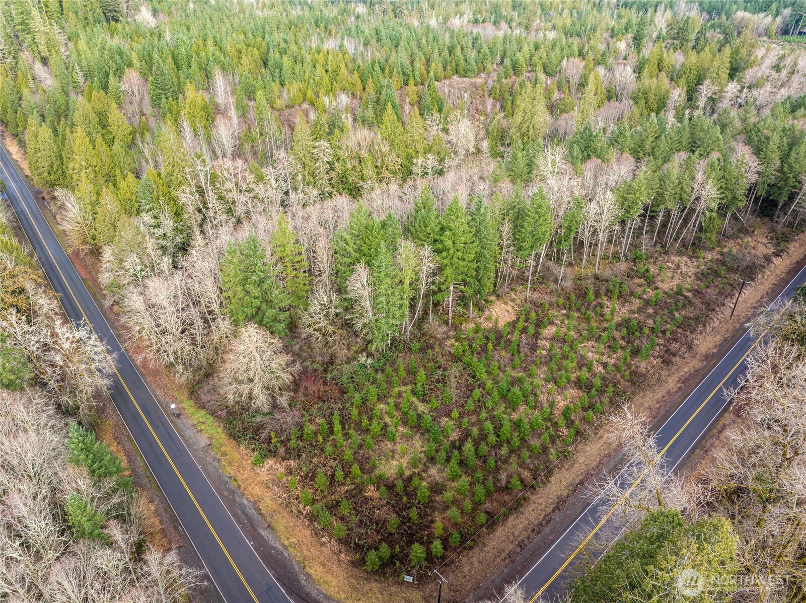 14-xx Spencer Road Toledo, WA 98591 - Photo 15 of 19 a view of a garden from a balcony