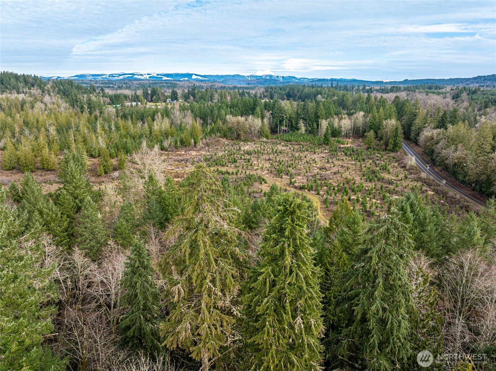 14-xx Spencer Road Toledo, WA 98591 - Photo 16 of 19 a view of outdoor space and mountain view