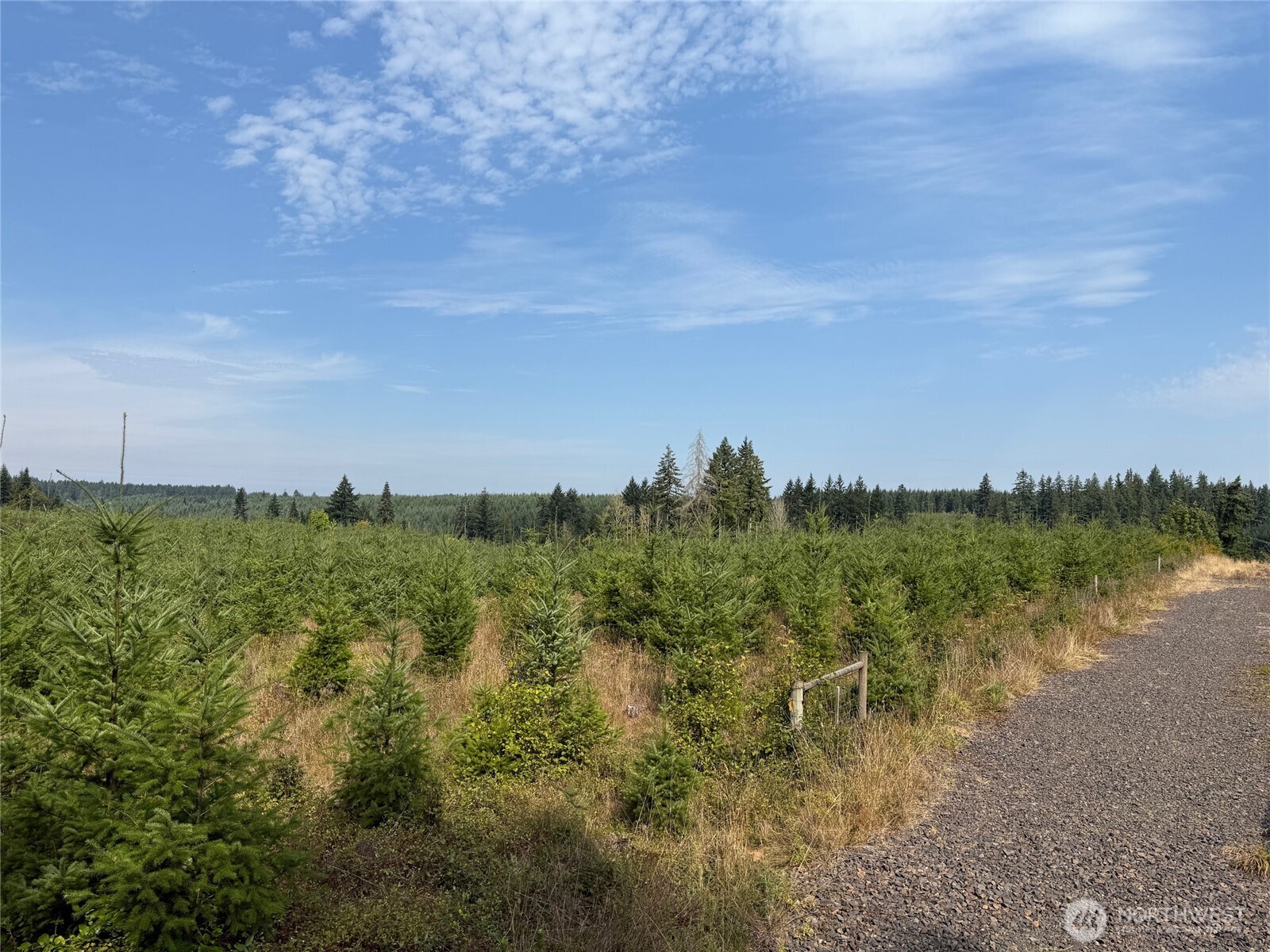 14-xx Spencer Road Toledo, WA 98591 - Photo 4 of 19 a view of a lake and green valley