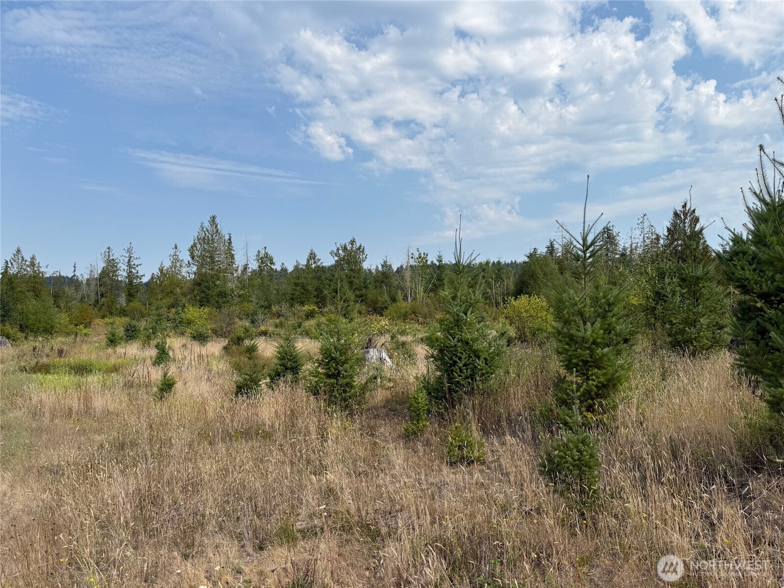 14-xx Spencer Road Toledo, WA 98591 - Photo 5 of 19 a view of a lake with houses in the back