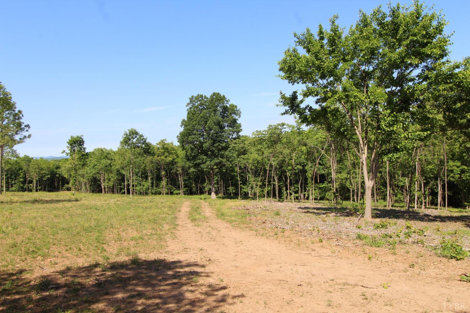 0 Tower Hill Road Appomattox, VA 24522 - Photo 8 of 11