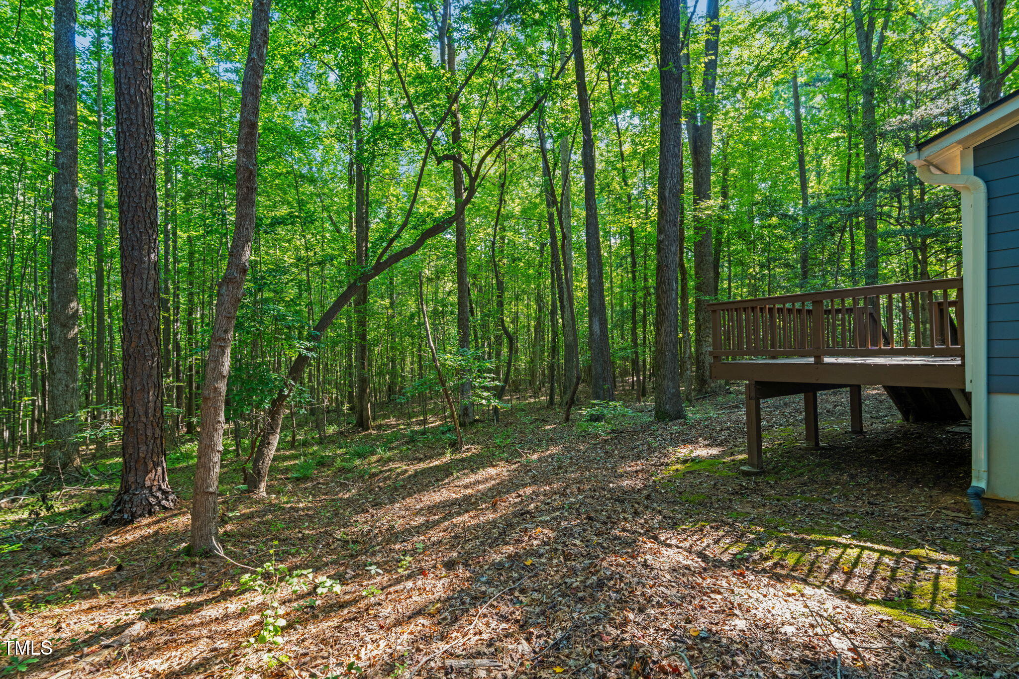 5500 Bobbitt Road Apex, NC 27539 - Photo 20 of 23 a view of a bench in the garden