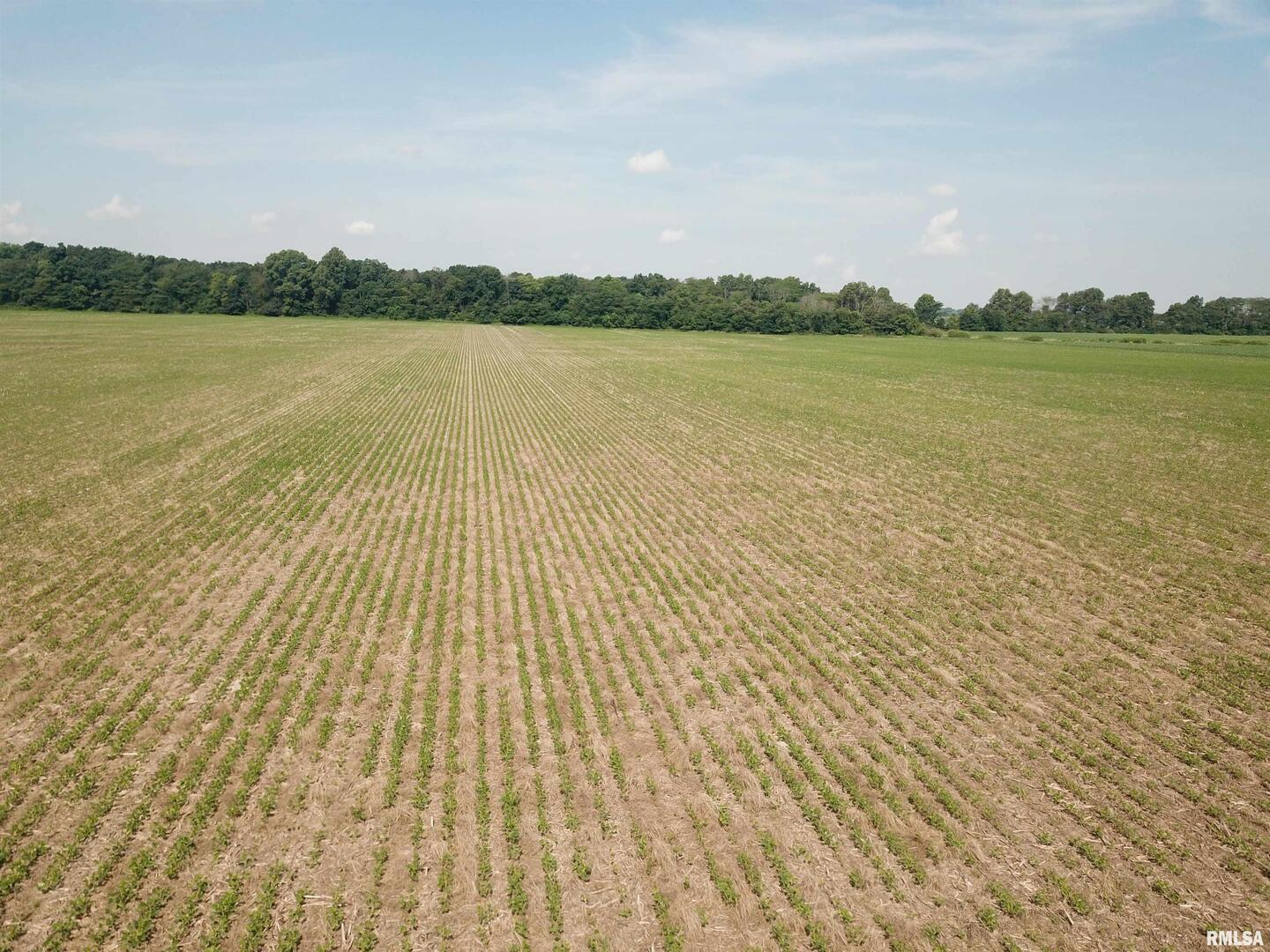 0 North Stanford Road Flora, IL 62839 - Photo 17 of 25