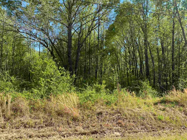 $34,000 | 1.26-acres 1.26-acres 193rd Highway, Rossville, TN 38066