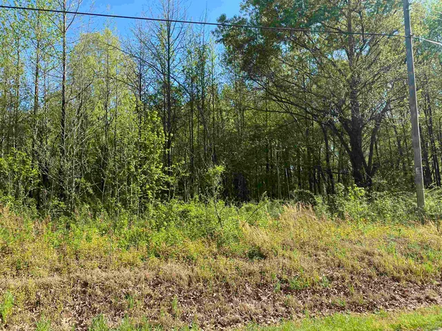 $34,000 | 1.26-acres 1.26-acres 193rd Highway, Rossville, TN 38066
