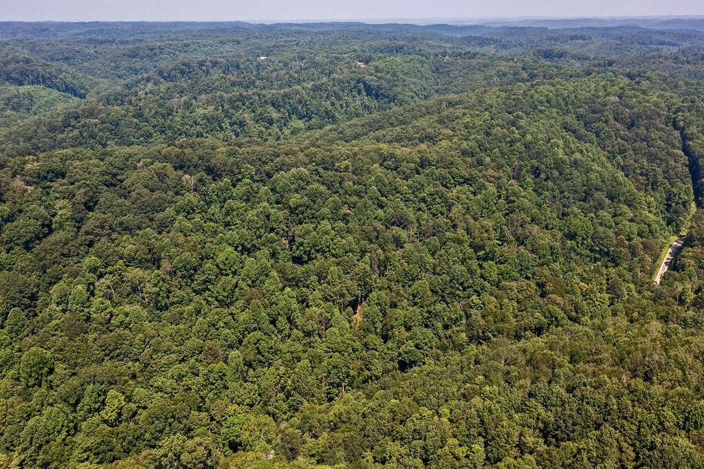 24272 Conrad Road Laurelville, OH 43135 - Photo 11 of 32 11-Aerial-7
