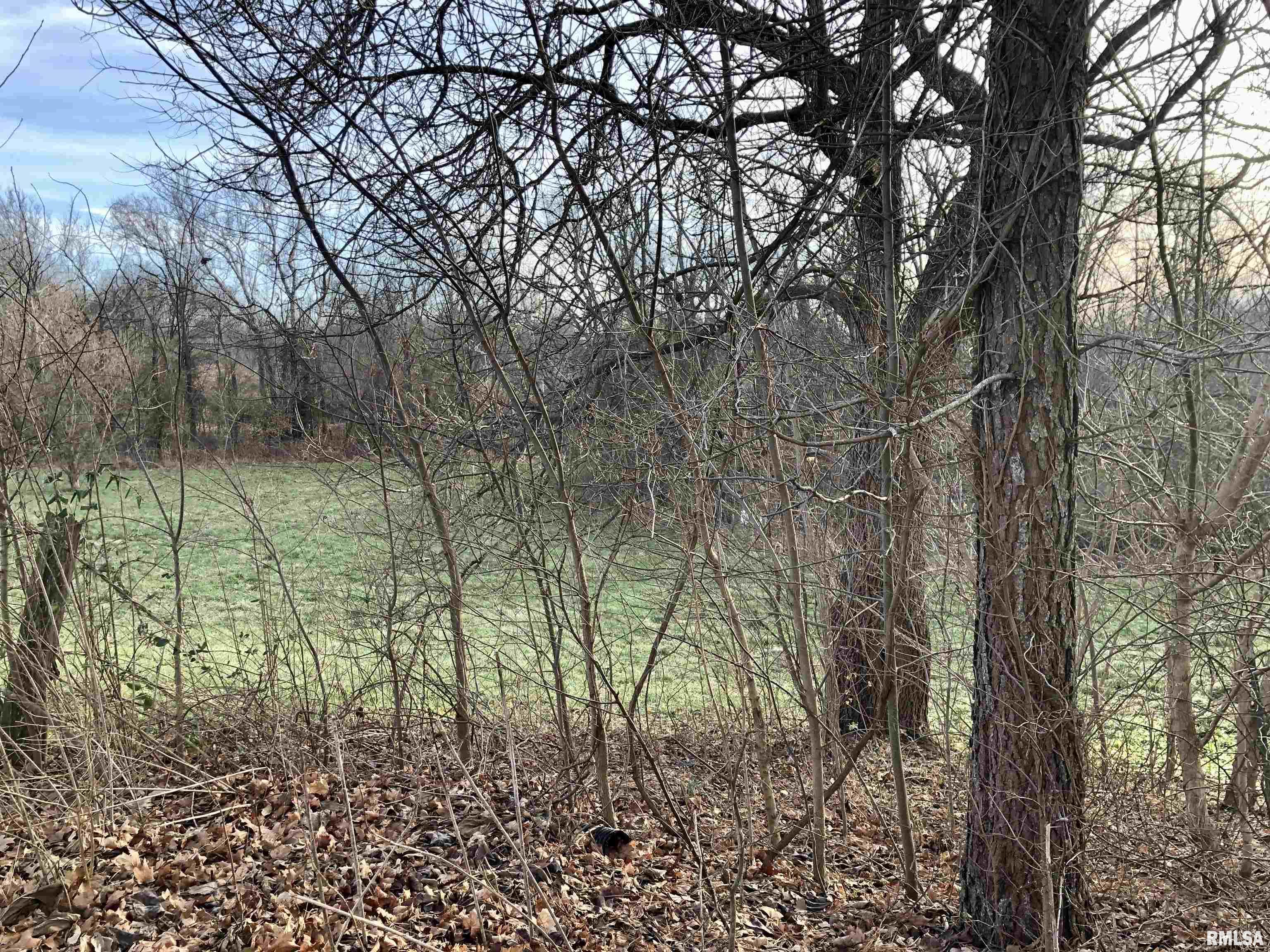 12681 Cochran Road Marion, IL 62959 - Photo 4 of 22 Gallery Image 4
