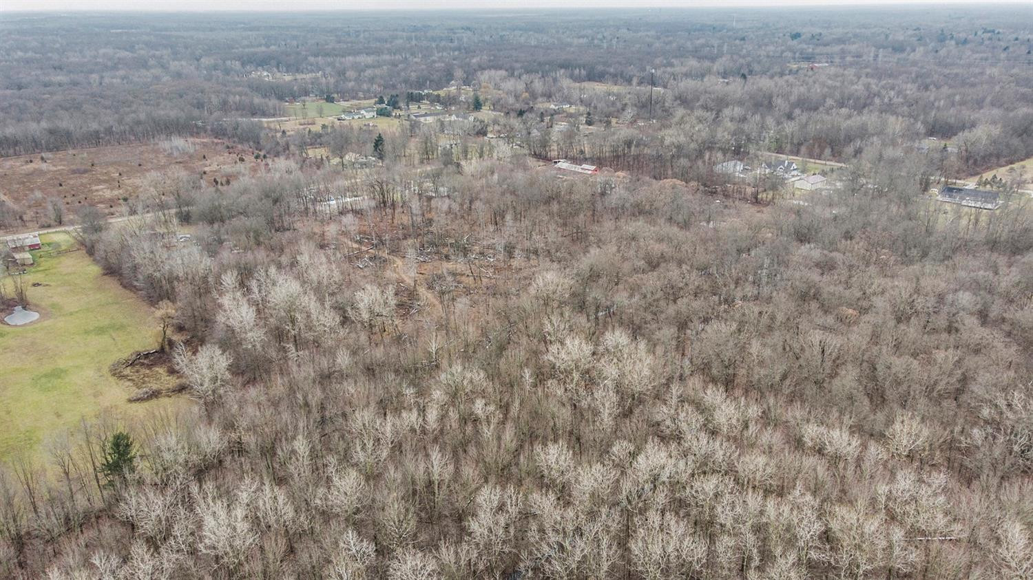 40690 Willis Road Belleville, MI 48111 - Photo 6 of 14 Photo 6