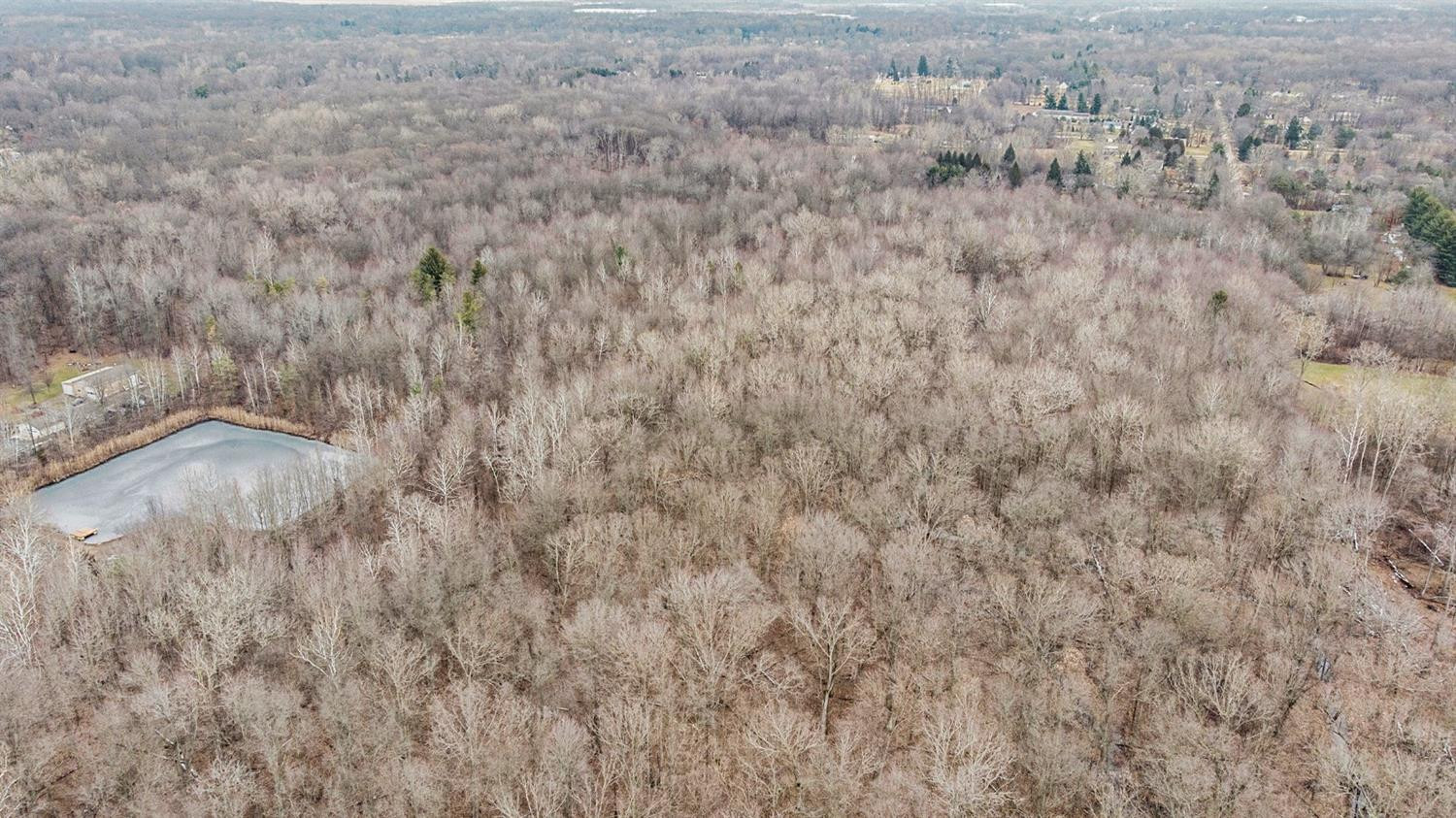40690 Willis Road Belleville, MI 48111 - Photo 8 of 14 Photo 8
