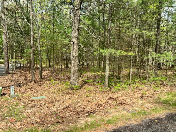 $59,900 | Lot 95 Iroquois Road, Pentwater, MI 49449