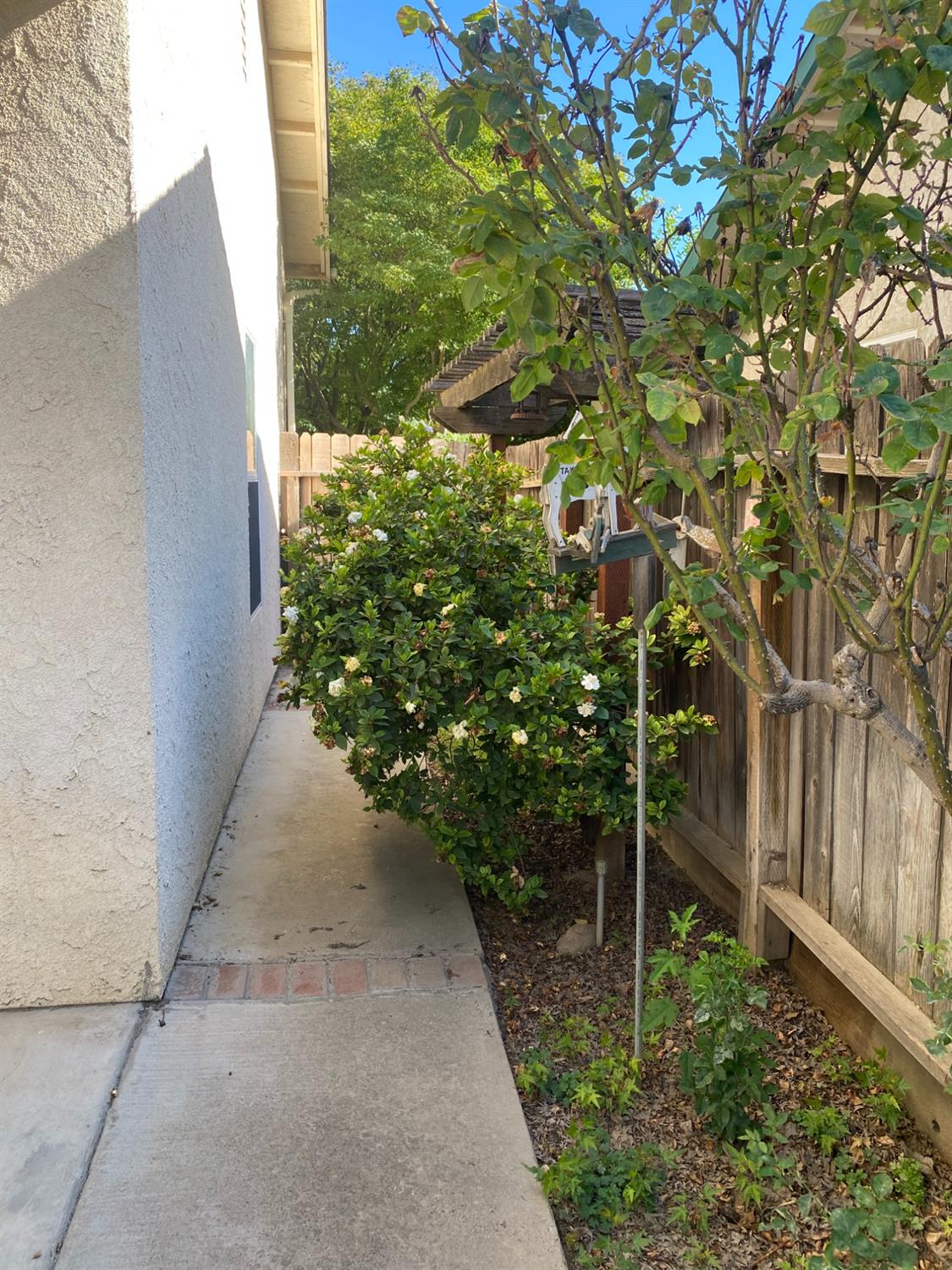 609 Merlot Avenue Madera, CA 93637 - Photo 42 of 45 a backyard of a house with lots of green space