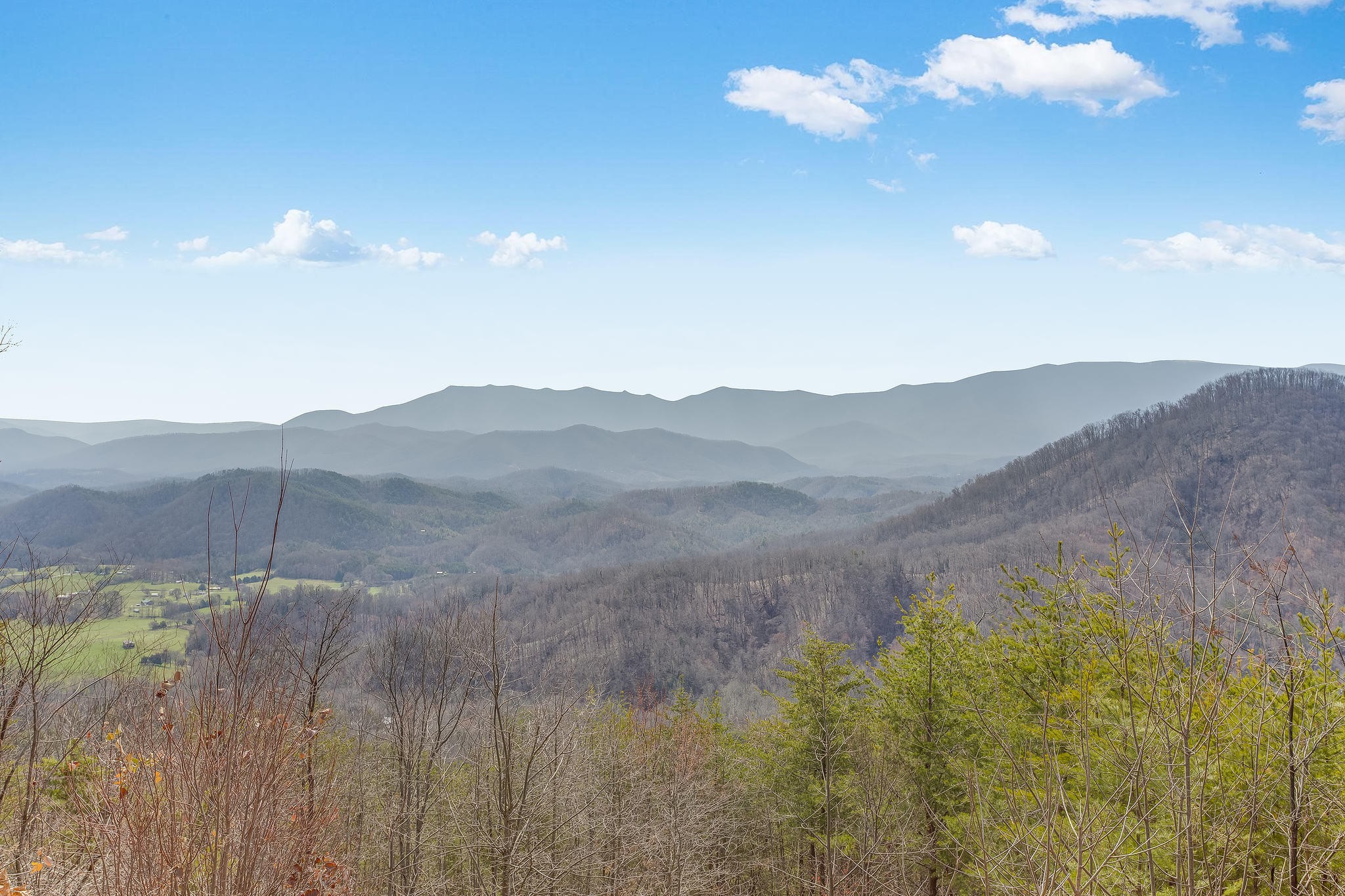 901 Eagles Bluff Way Cosby, TN 37722 - Photo 4 of 35 Gallery Image 4