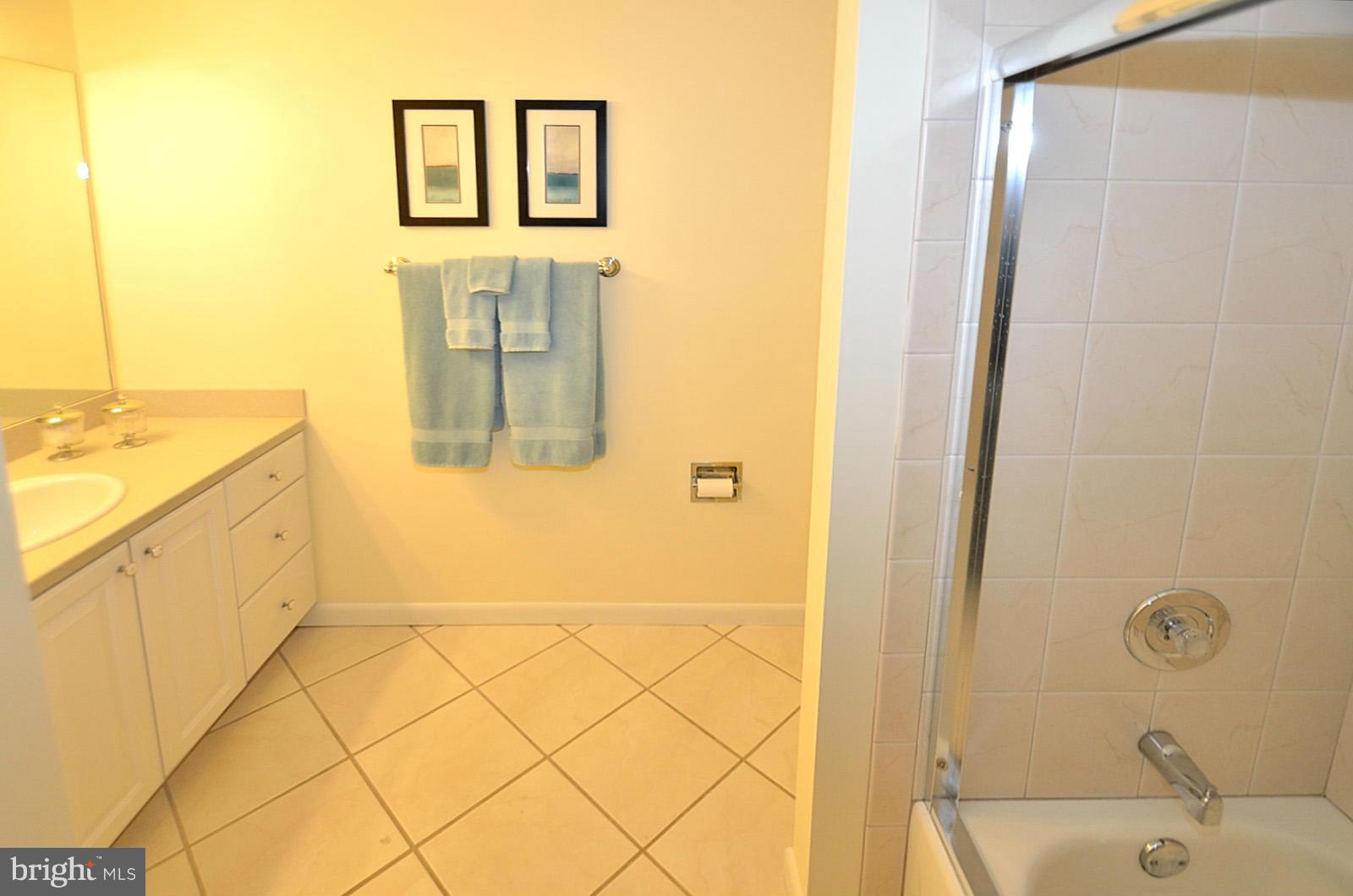 2255 Cedar Cove Court Reston, VA 20191 - Photo 23 of 29 Bath