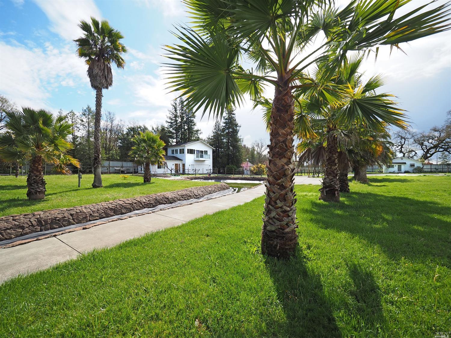 3653 Guerneville Road Santa Rosa, CA 95401 - Photo 1 of 1 a view of a yard with palm trees