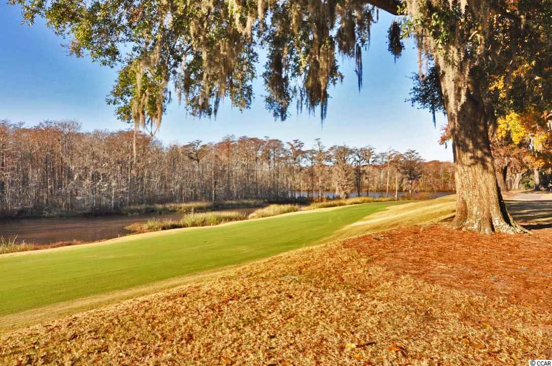 1807 Laurel Trail, Unit 1807 Murrells Inlet, SC 29576 - Photo 19 of 40 Gallery Image 19