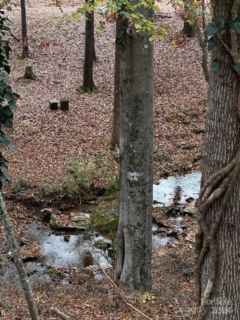 2203 Liberty Church Road Hickory, NC 28601 - Photo 8 of 46 Gallery Image 8