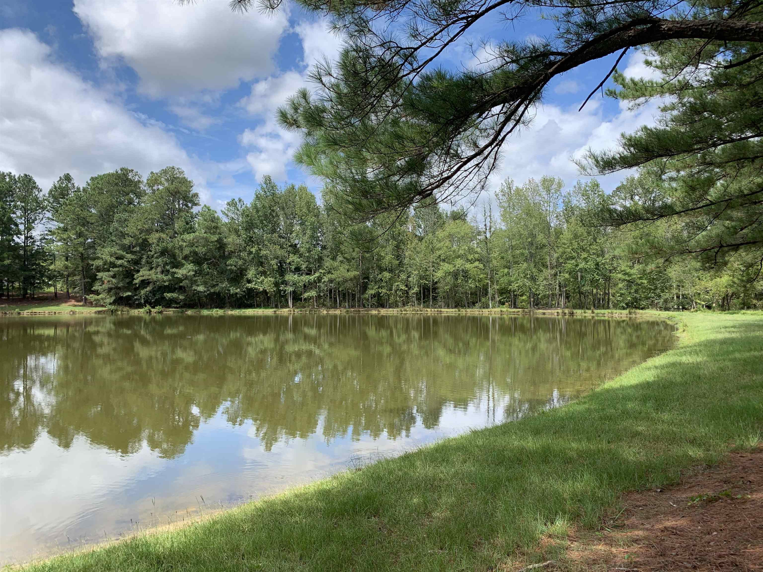 9920 Sauls Road Raleigh, NC 27603 - Photo 11 of 16 a view of a lake