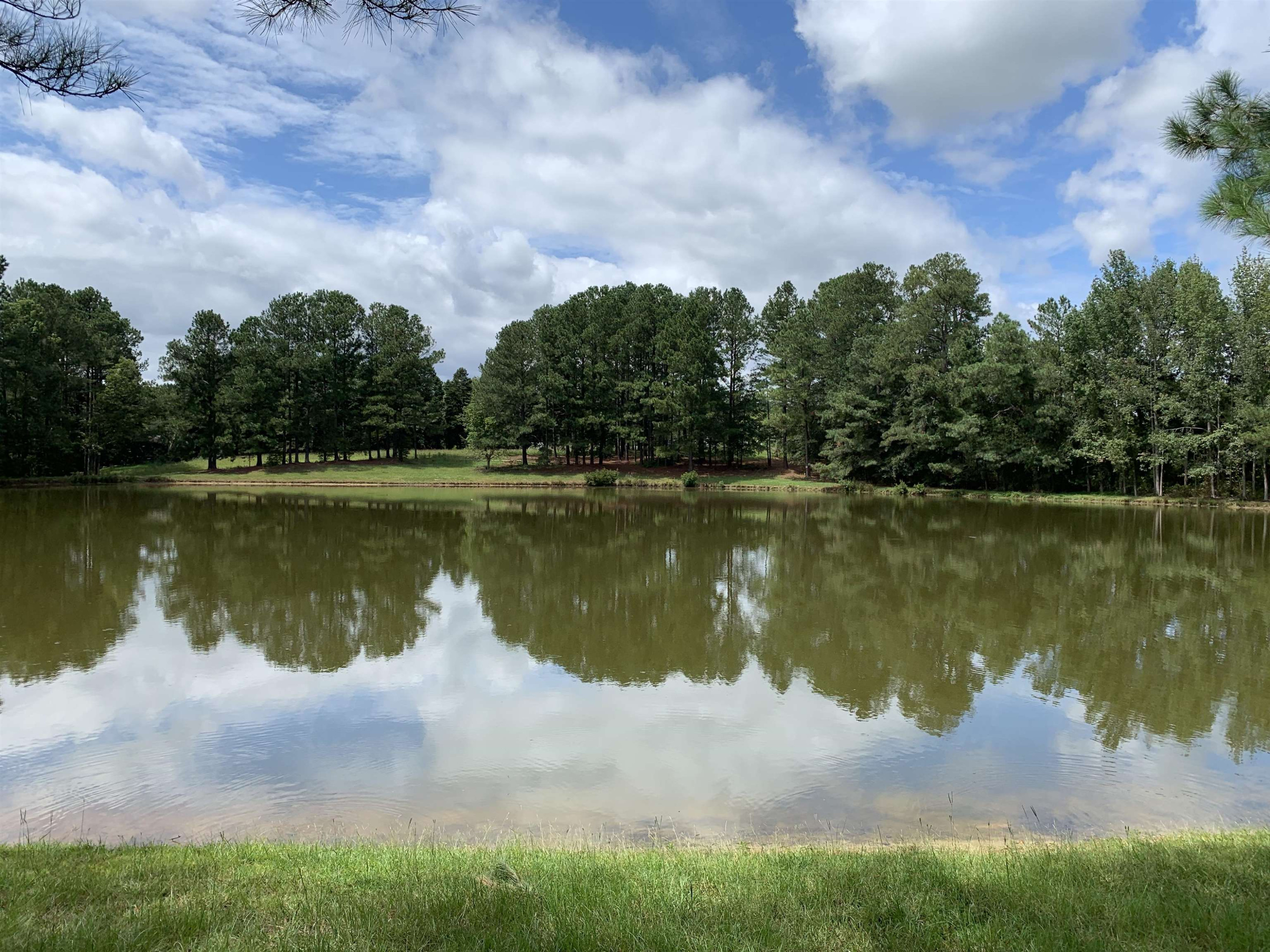 9920 Sauls Road Raleigh, NC 27603 - Photo 12 of 16 a view of a lake