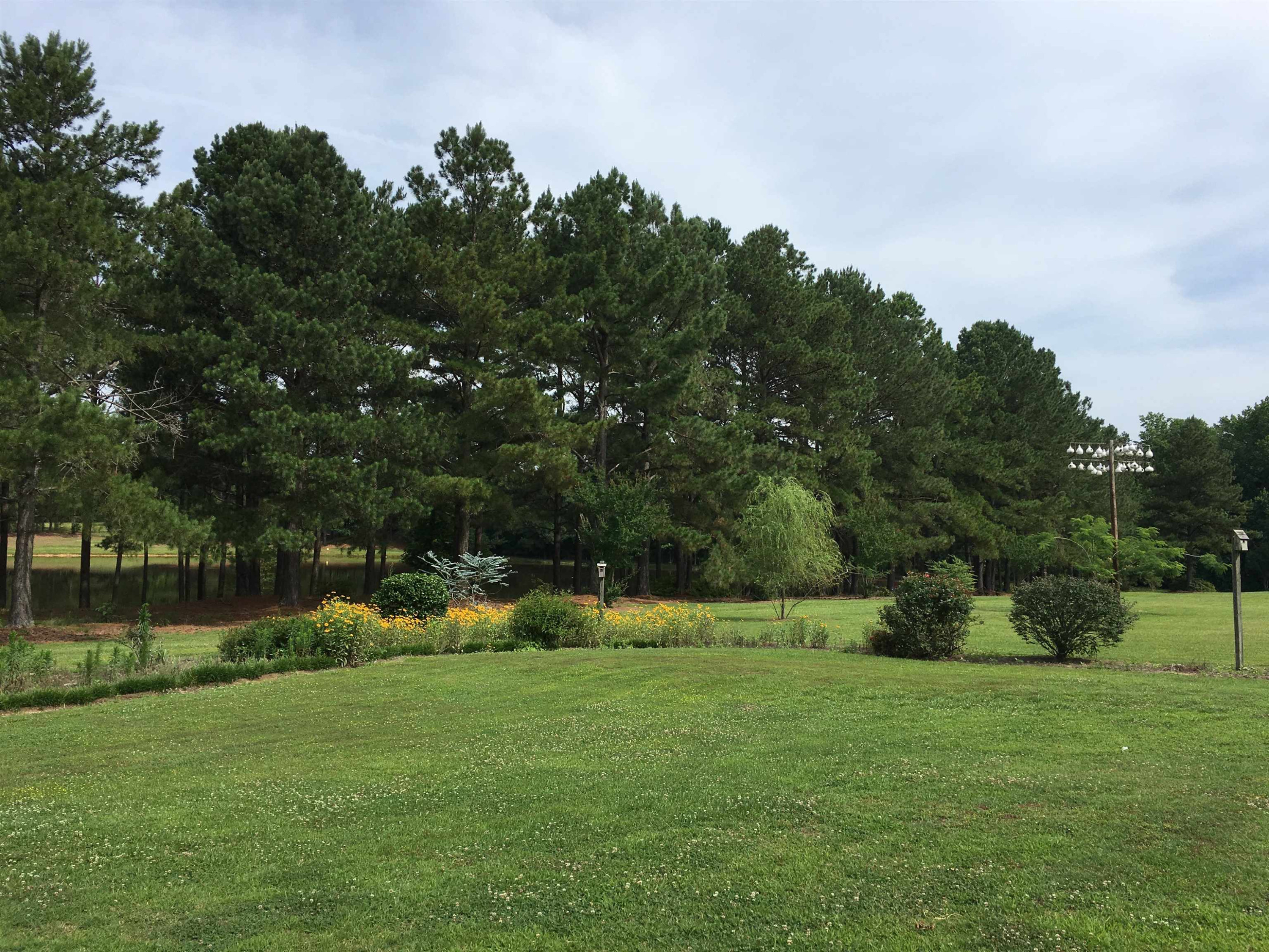 9920 Sauls Road Raleigh, NC 27603 - Photo 16 of 16 a view of a park