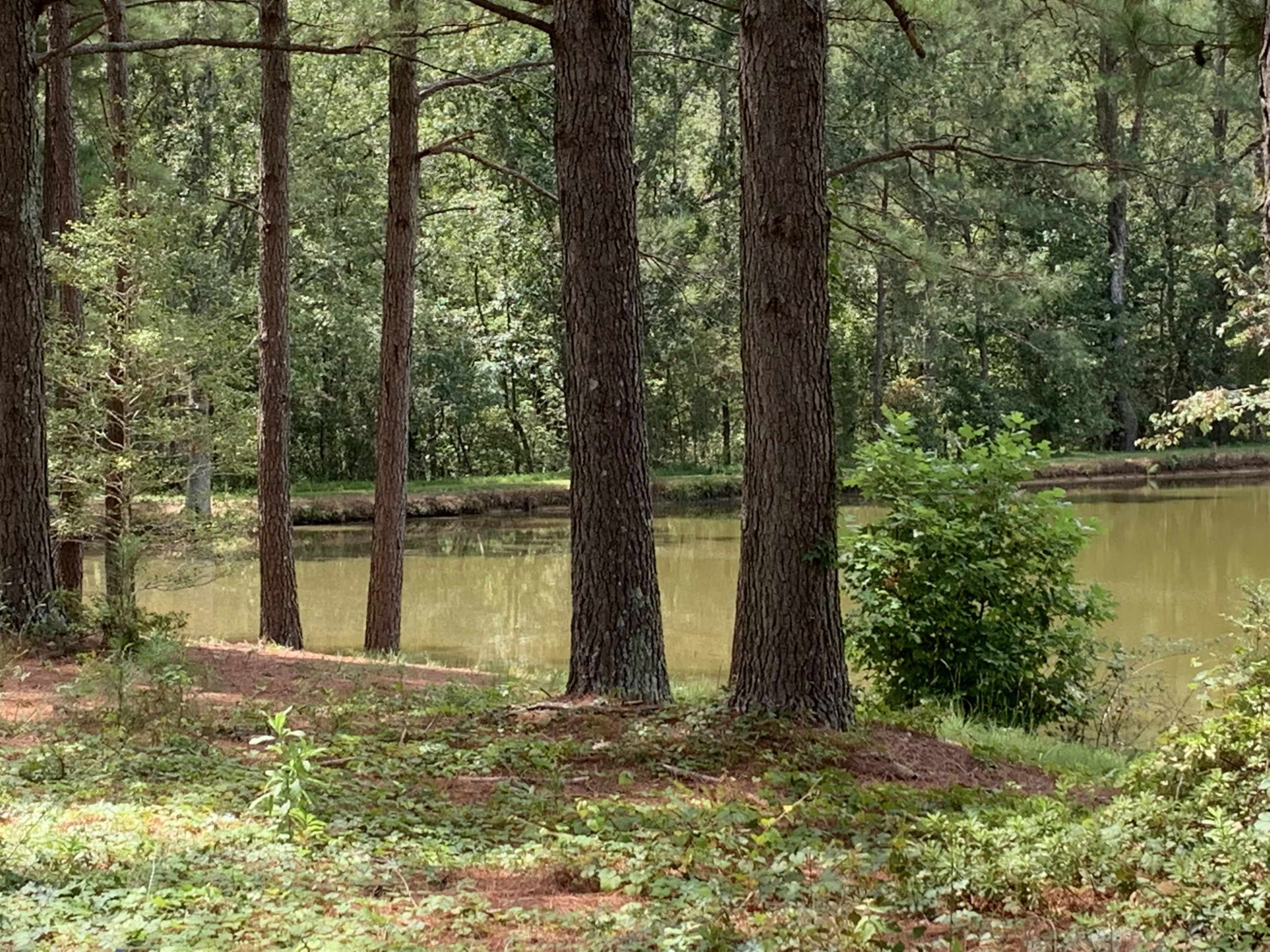 9920 Sauls Road Raleigh, NC 27603 - Photo 9 of 16 a view of lake