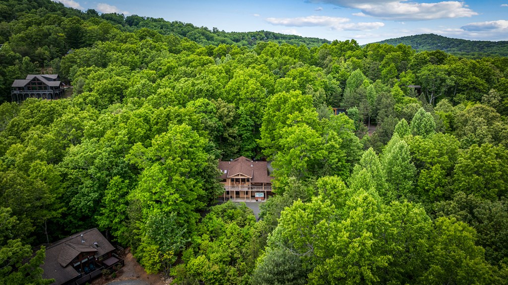 28 Hawkeye Ridge Blue Ridge, GA 30513 - Photo 41 of 104
