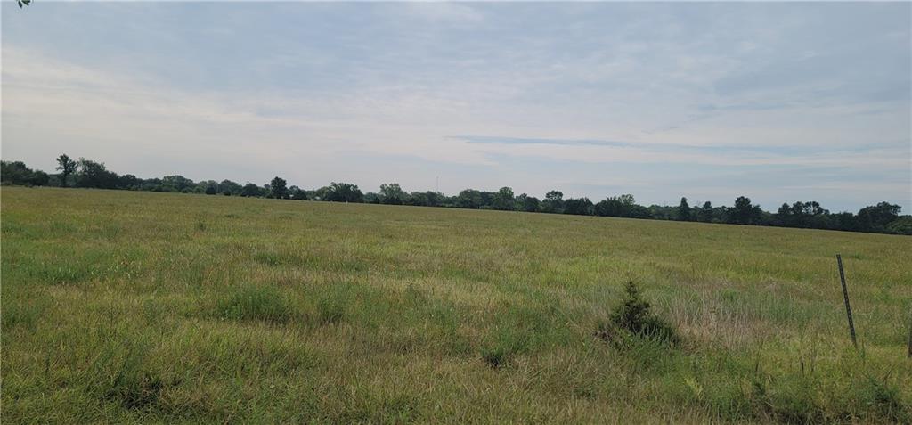 0 West North 10th Street Baxter Springs, KS 66713 - Photo 2 of 11