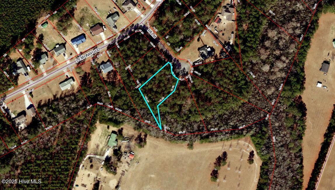 104 Palm Circle Havelock, NC 28532 - Photo 12 of 12 GIS Topo Map