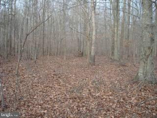 Lot 1 Libertytown Road Berlin, MD 21811 - Photo 1 of 2 Gallery Image 1