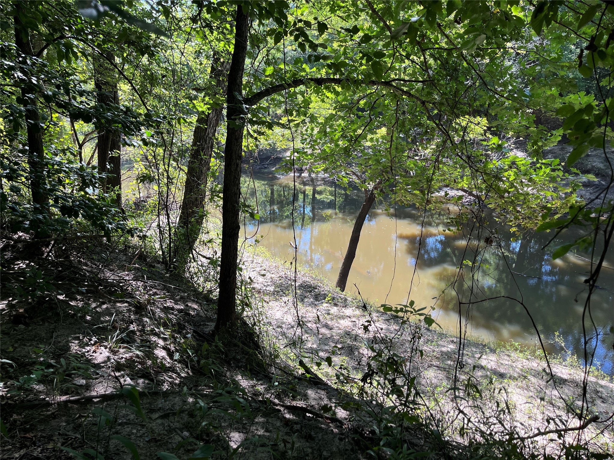 Tbd Tbd Sh-155 Winona, TX 75792 - Photo 36 of 42 a view of a yard