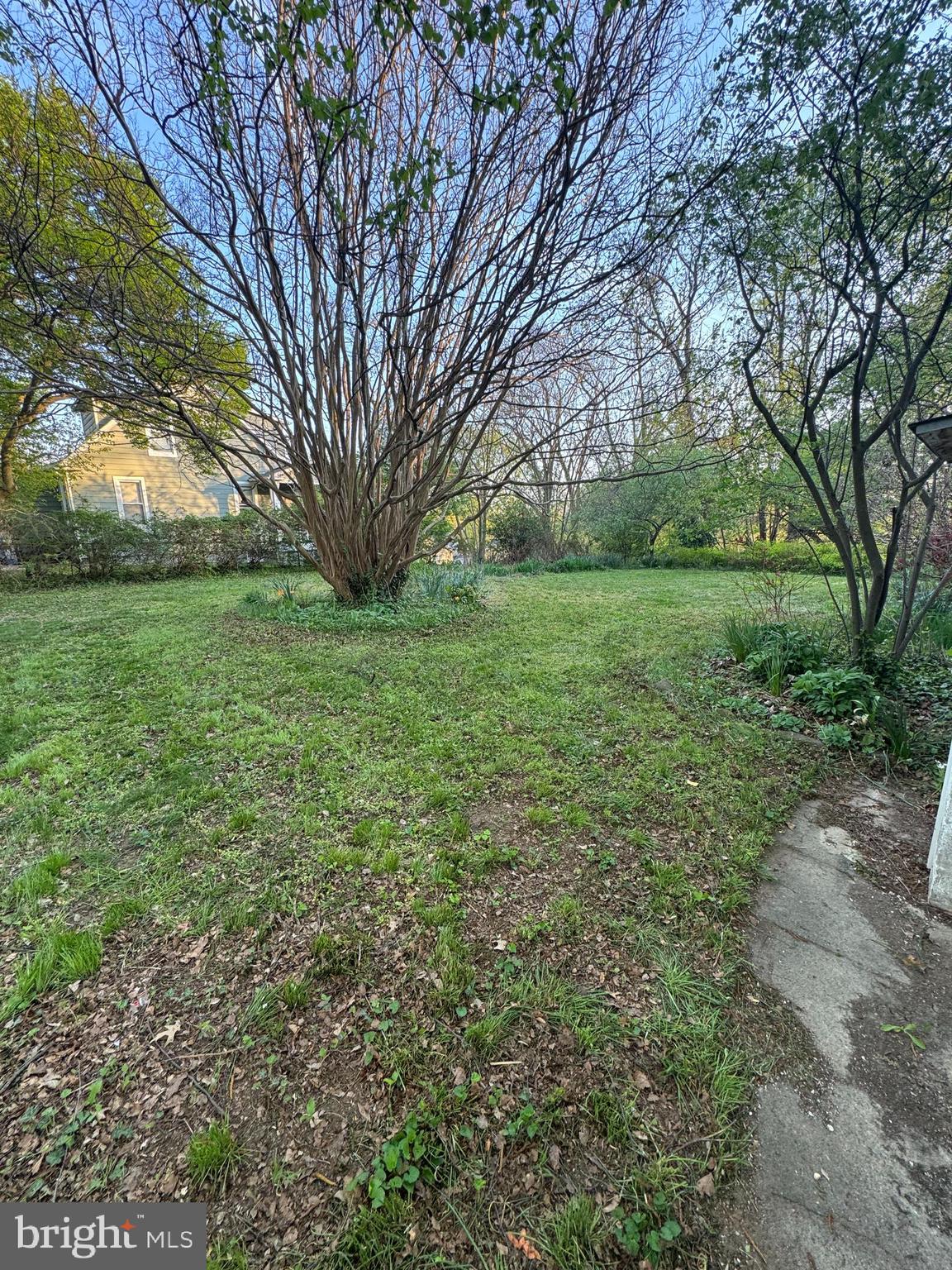 4310 Biddison Lane Baltimore, MD 21206 - Photo 6 of 55 Double lot!