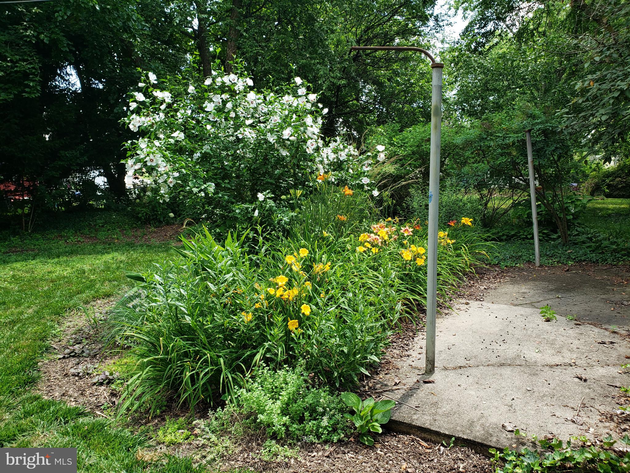 4310 Biddison Lane Baltimore, MD 21206 - Photo 10 of 55 Garden behind garage
