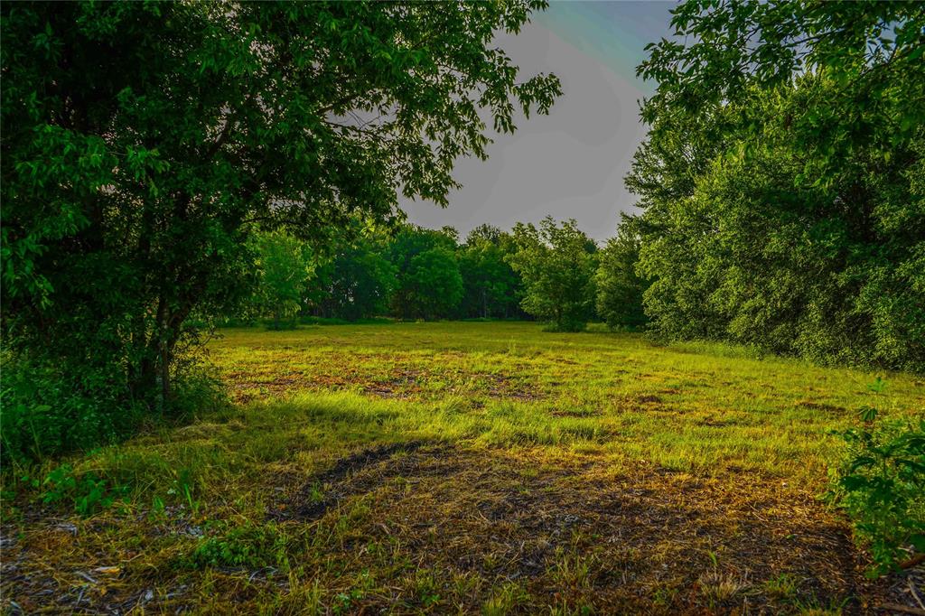 386 North Rock Creek Road Waco, TX 76708 - Photo 38 of 40 a view of a yard with a house in the background