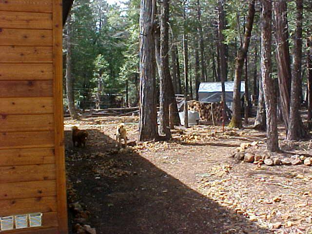8300 Elkhorn Road Shingletown, CA 96088 - Photo 10 of 12 9
