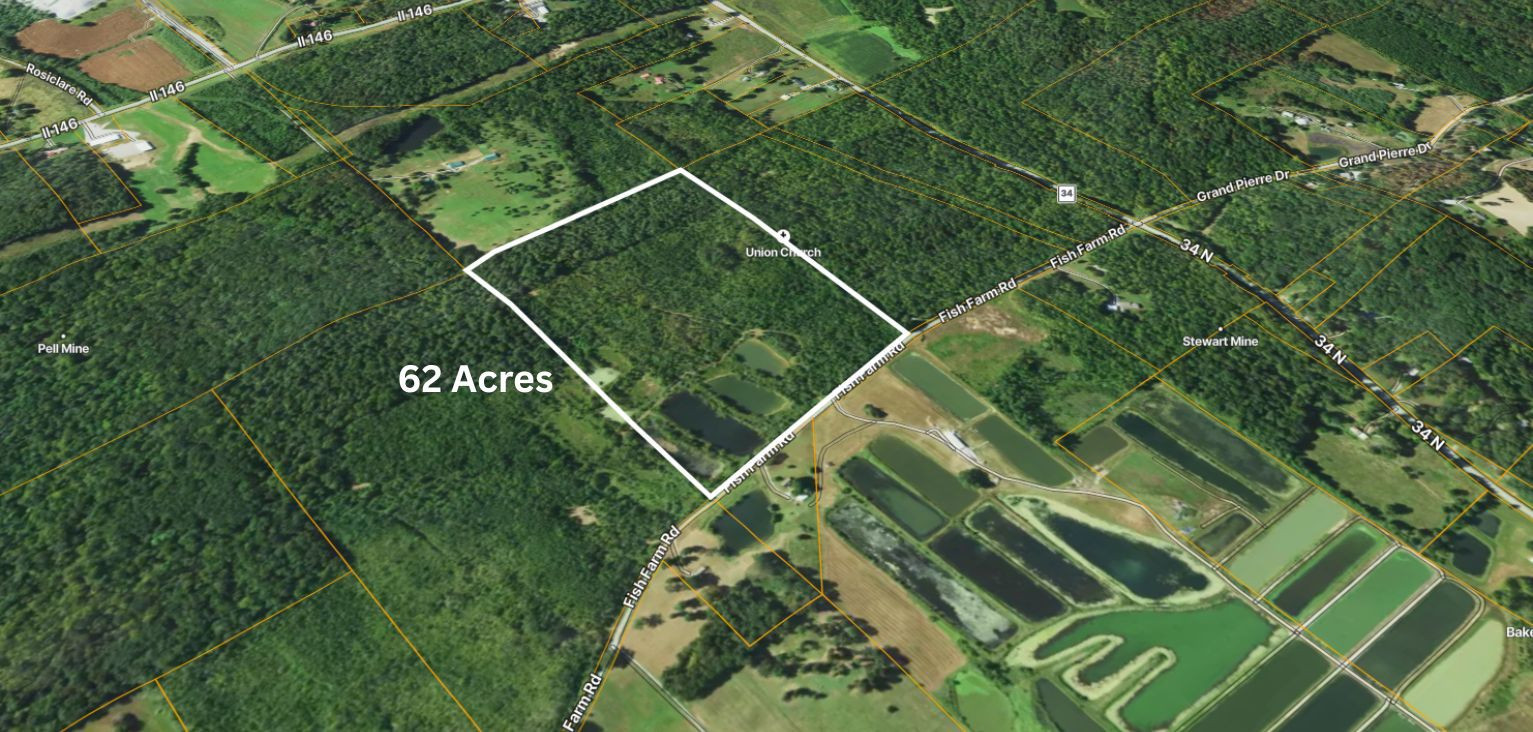 40 Fish Farm Road Golconda, IL 62938 - Photo 7 of 18