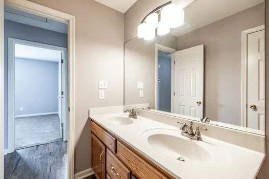 2029 Copper Kettle Circle Pleasant View, TN 37146 - Photo 43 of 58 a bathroom with a sink double vanity and a mirror