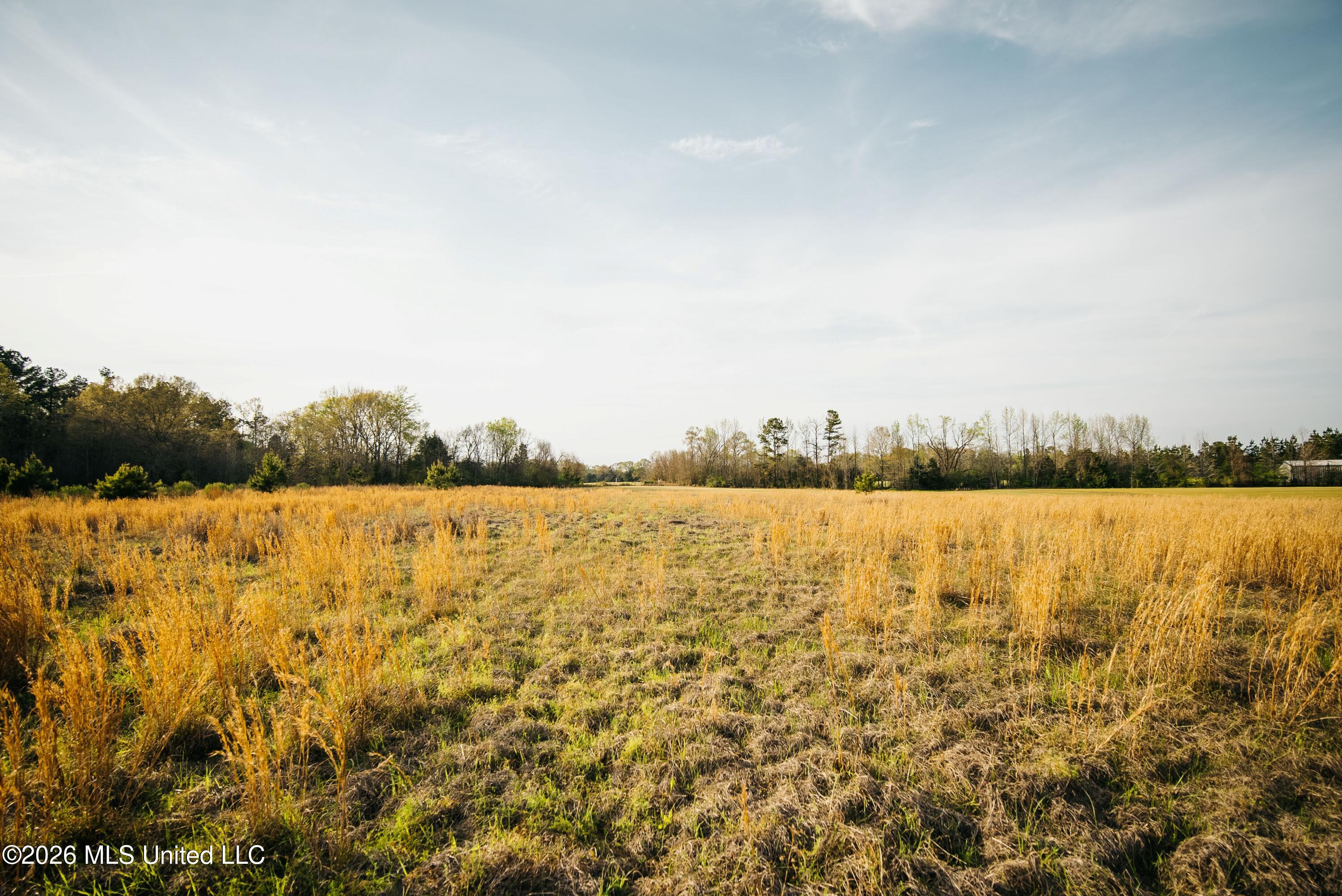 1844 Volley Campbell Road Terry, MS 39170 - Photo 27 of 81 DSC08600
