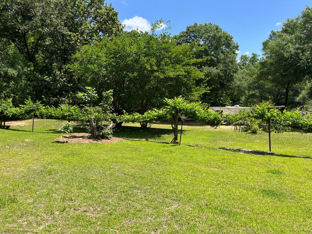 115 Carter Ridge Road Abbeville, AL 36310 - Photo 22 of 25