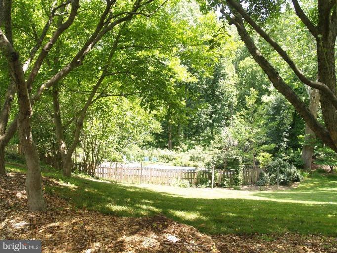 13628 Glenhurst Road North Potomac, MD 20878 - Photo 28 of 30 Wooded View / Acreage 3