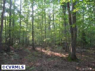 0 Airport Road Kenbridge, VA 23944 - Photo 1 of 3 a view of a forest that has large trees