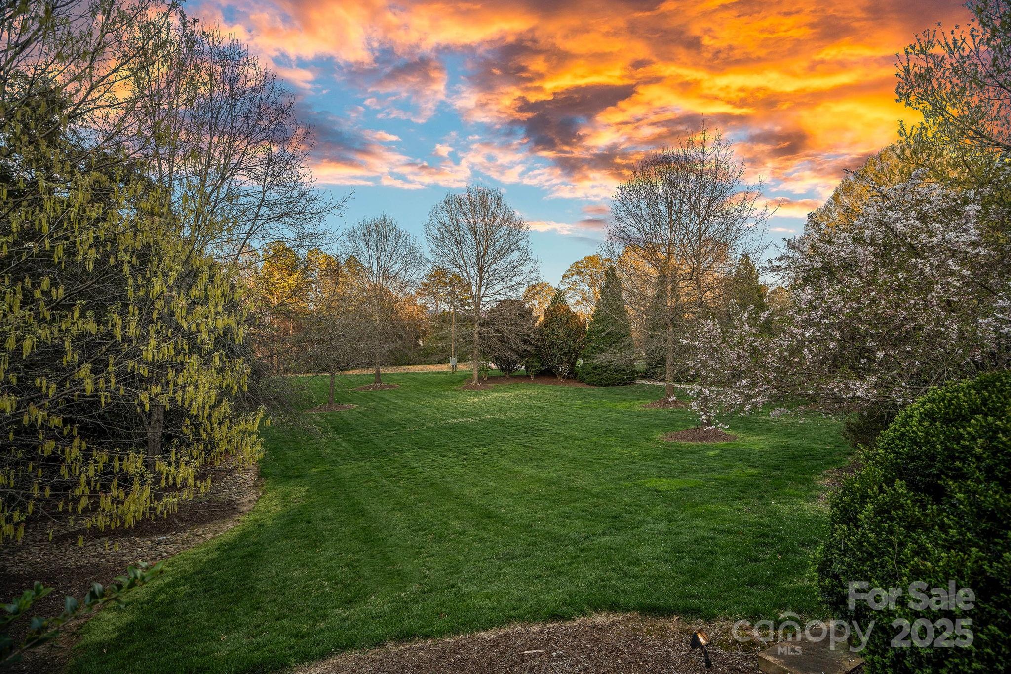 19117 Davidson-Concord Road Davidson, NC 28036 - Photo 47 of 48 a view of yard with green space