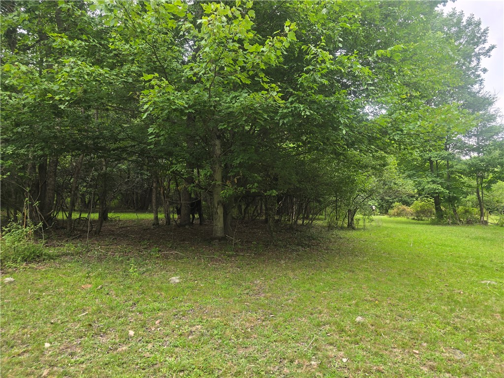 304 Watrus Road Greene, NY 13778 - Photo 9 of 47 Gallery Image 9