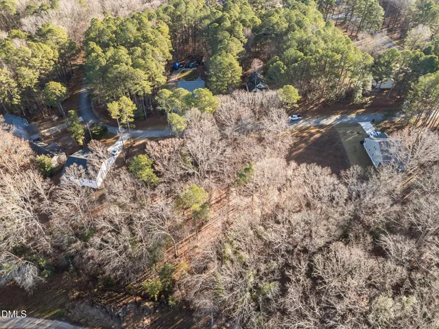 a view of a tree in a yard