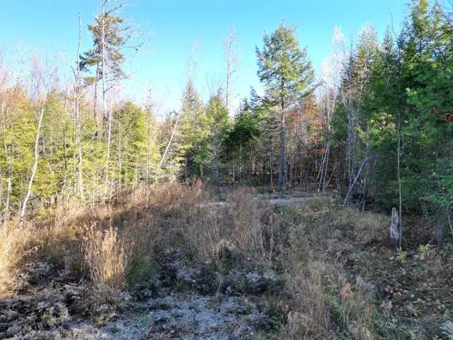 $29,900 | 256 Half Township Road, Lincoln, ME 04457