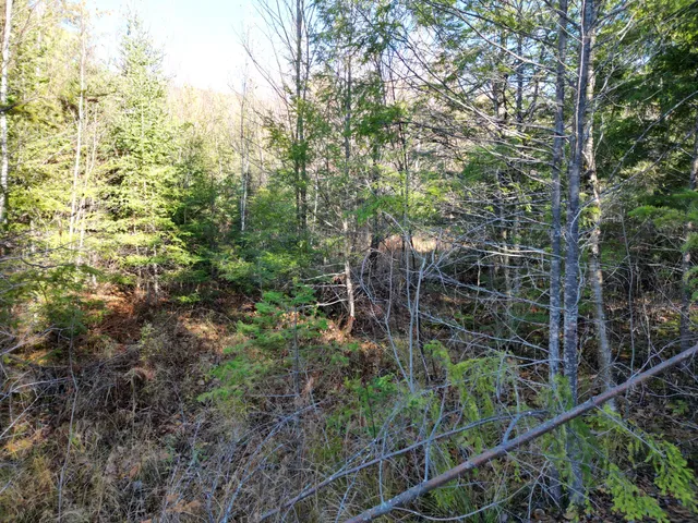 $29,900 | 256 Half Township Road, Lincoln, ME 04457