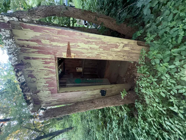 a view of outdoor space and yard