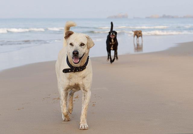 1416 Dolphin Drive Aptos, CA 95003 - Photo 32 of 40 a view of small space