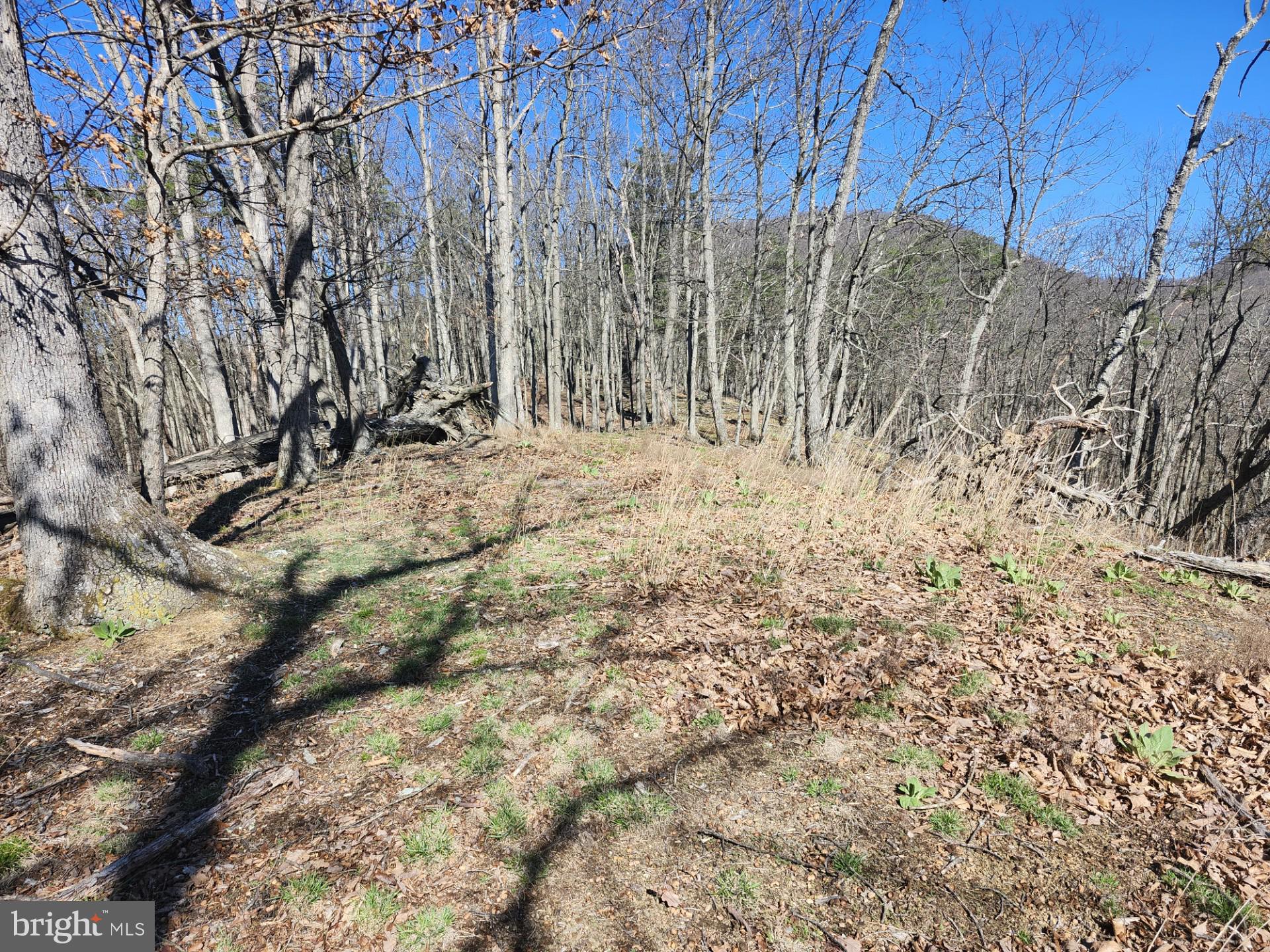 A J Kelley Road Old Fields, WV 26845 - Photo 50 of 65