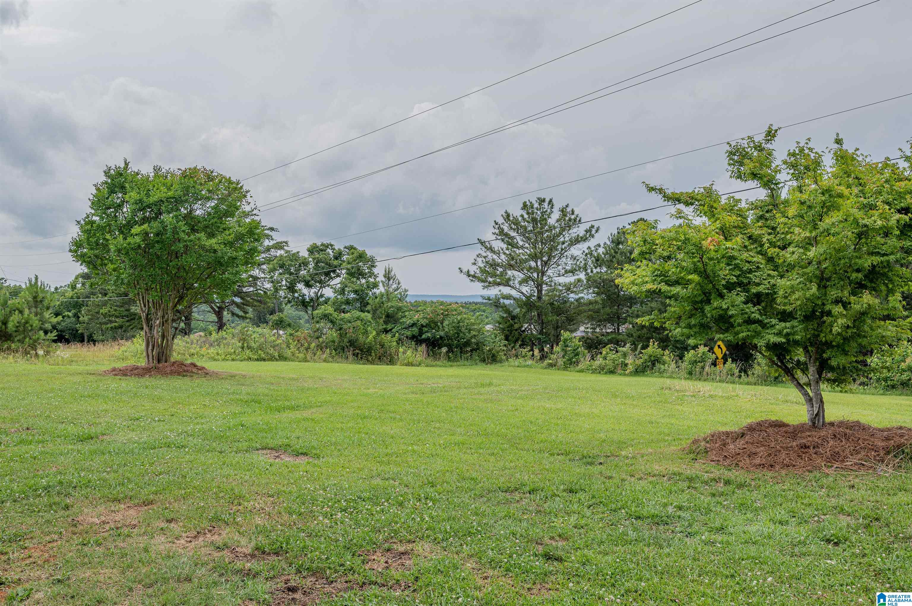 7900 Pine Mountain Road Springville, AL 35146 - Photo 26 of 30